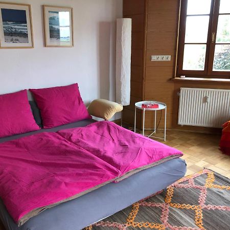 Ferienwohnung Am Donauradwanderweg Riedlingen Kültér fotó